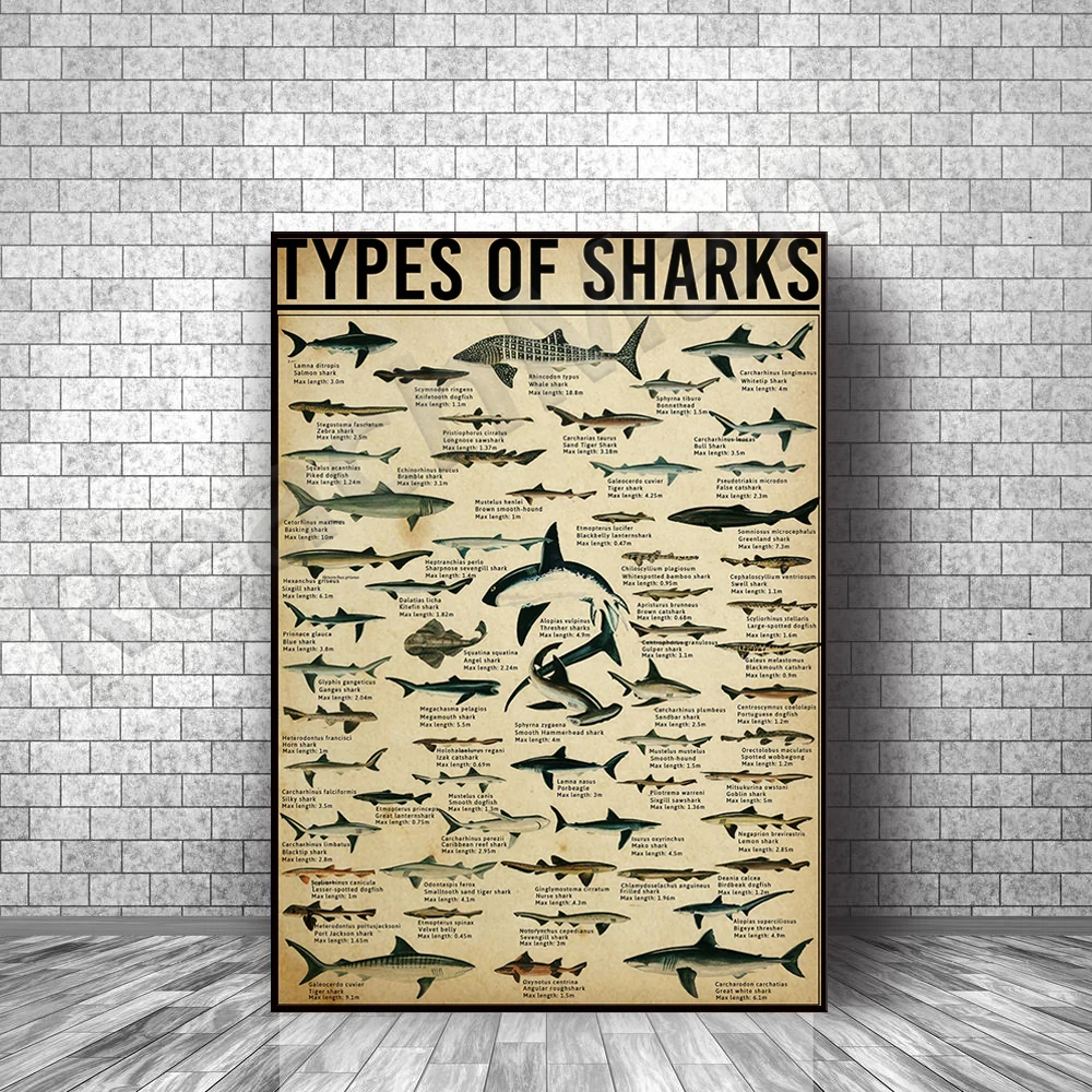 Shark animal vertical poster species shark family shark lover gift shark dictionary marine poster shark knowledge poster