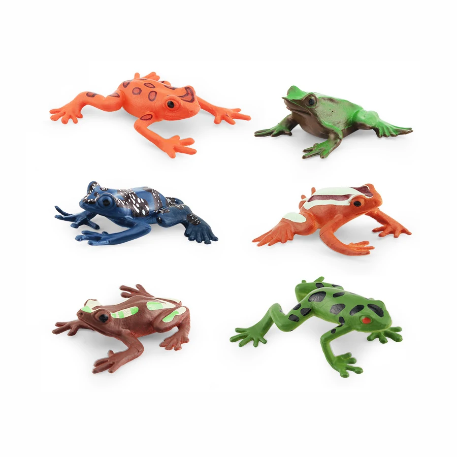 Figuras realistas del ciclo de vida de ranas anfibios, bosque tropical, rana toro, animales, modelo de decoración, colección de regalos de fiesta, juguetes