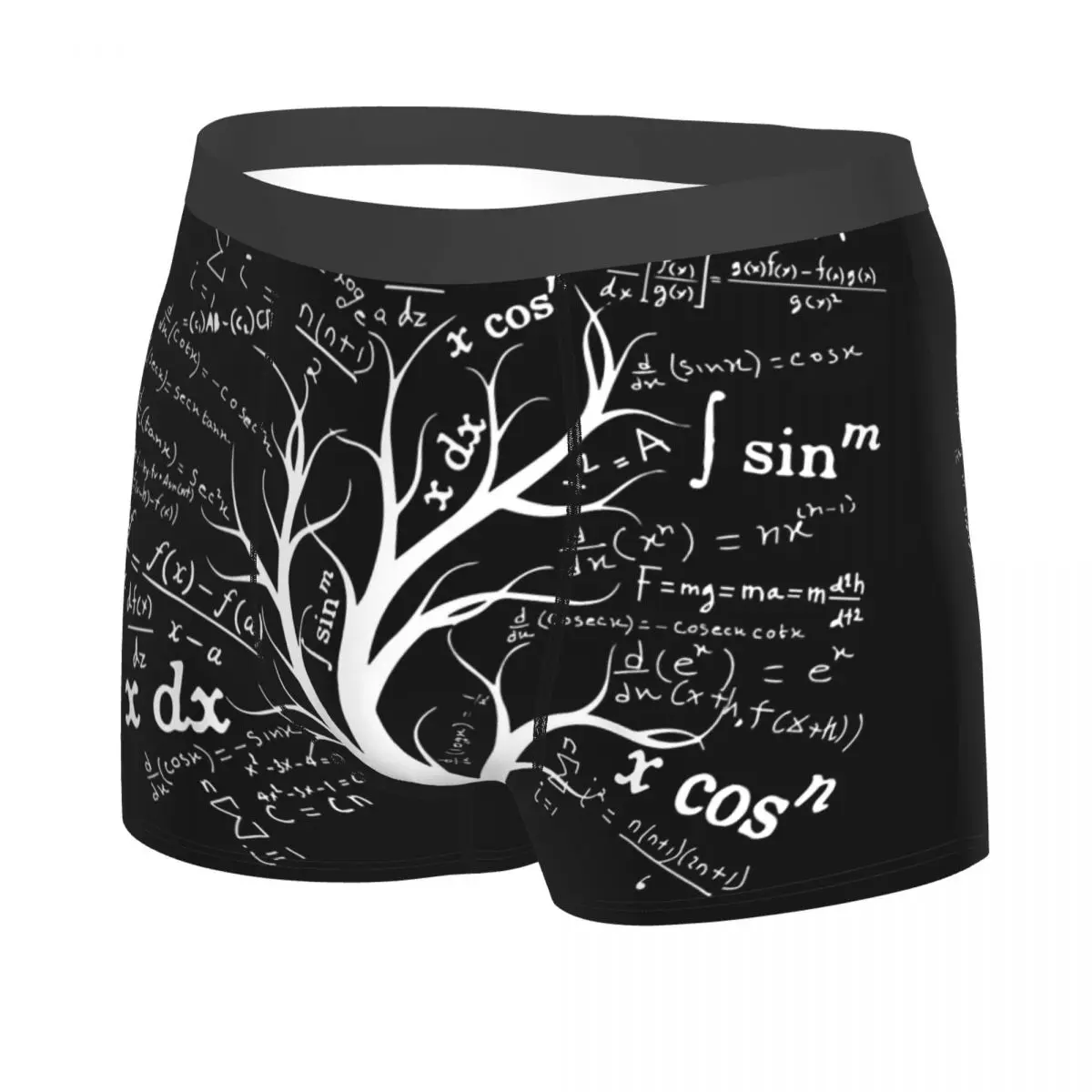 Harajuku Geek Math Teacher Men's Boxer Briefs Boxer Briefs Highly Breathable Underpants Top Quality Print Shorts Birthday Gifts