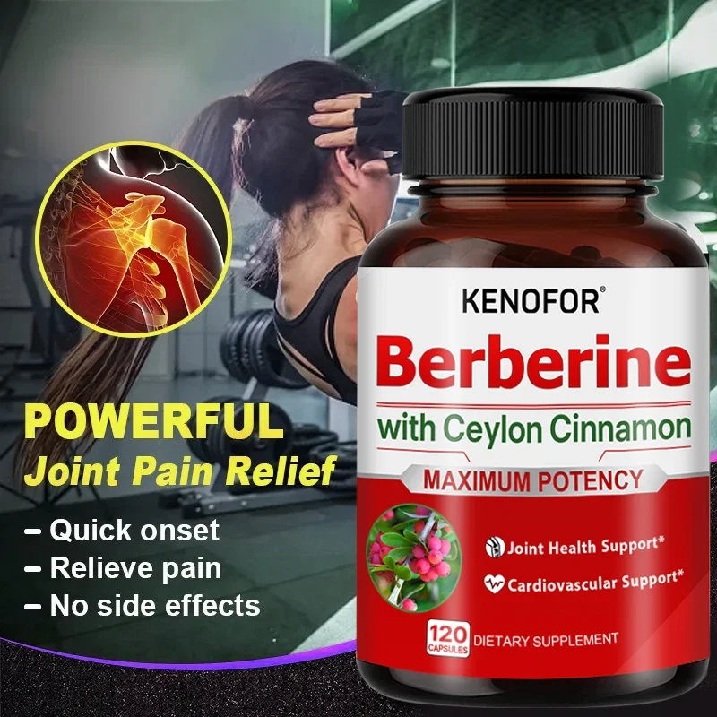 Premium Berberine HCl 600mg 120 Capsules with 270mg Ceylon Cinnamon for Cardiovascular Health and Function, Joints, Energy