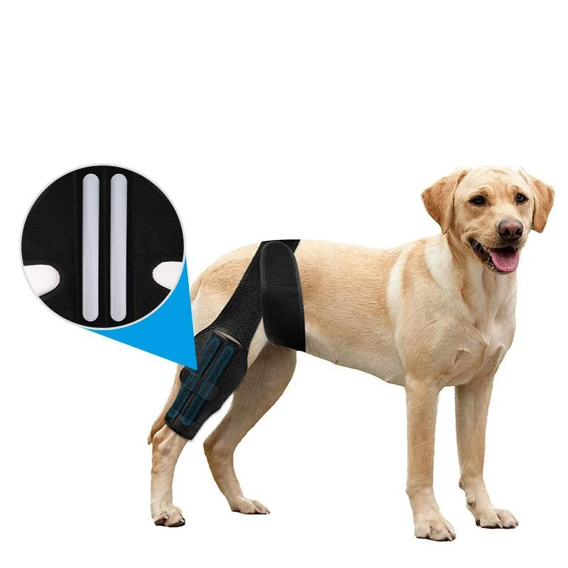 Adjustable Dog Knee Brace Support Post Surgery Leg Protector Splint Neoprene Breathable Sleeve For Dogs Joint Fracture Aftercare