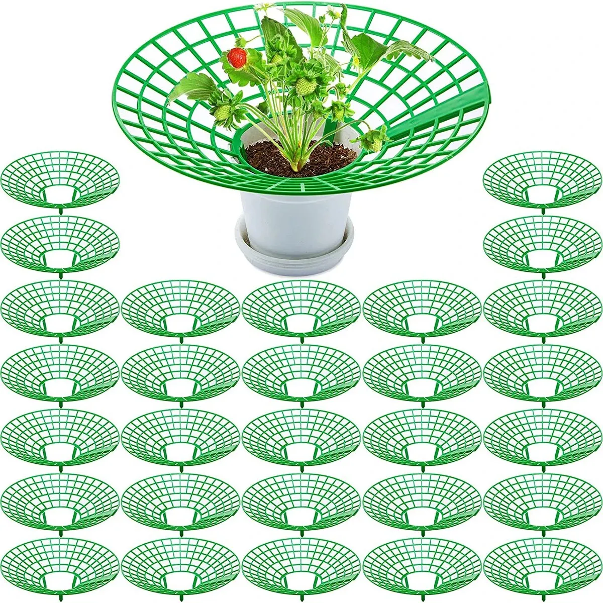 Suporte para plantas de morango com 3 pernas resistentes, rack para cultivo de morango, gaiola protetora de molde, podridão de sujeira