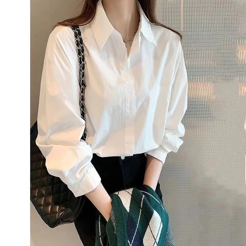

Long Sleeve Shirts Womens Chiffon Button Down Blouses Slim Fit Pleated Hem Lantern Sleeves Office Retro Elegant Commuting