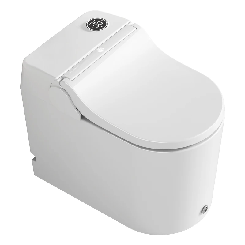 

Integrated automatic changing toilet