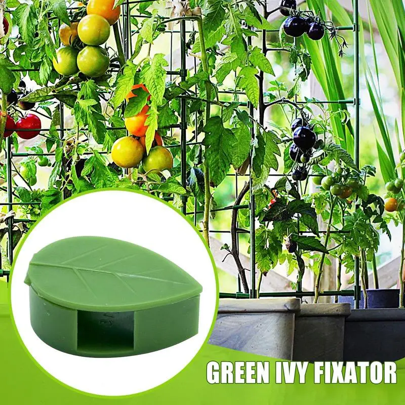 Plant Climbing Wall Clips 10 Pieces Adhesive Plant Clips Adjustable Reusable Weather-Resistant Support Structures For Indoor