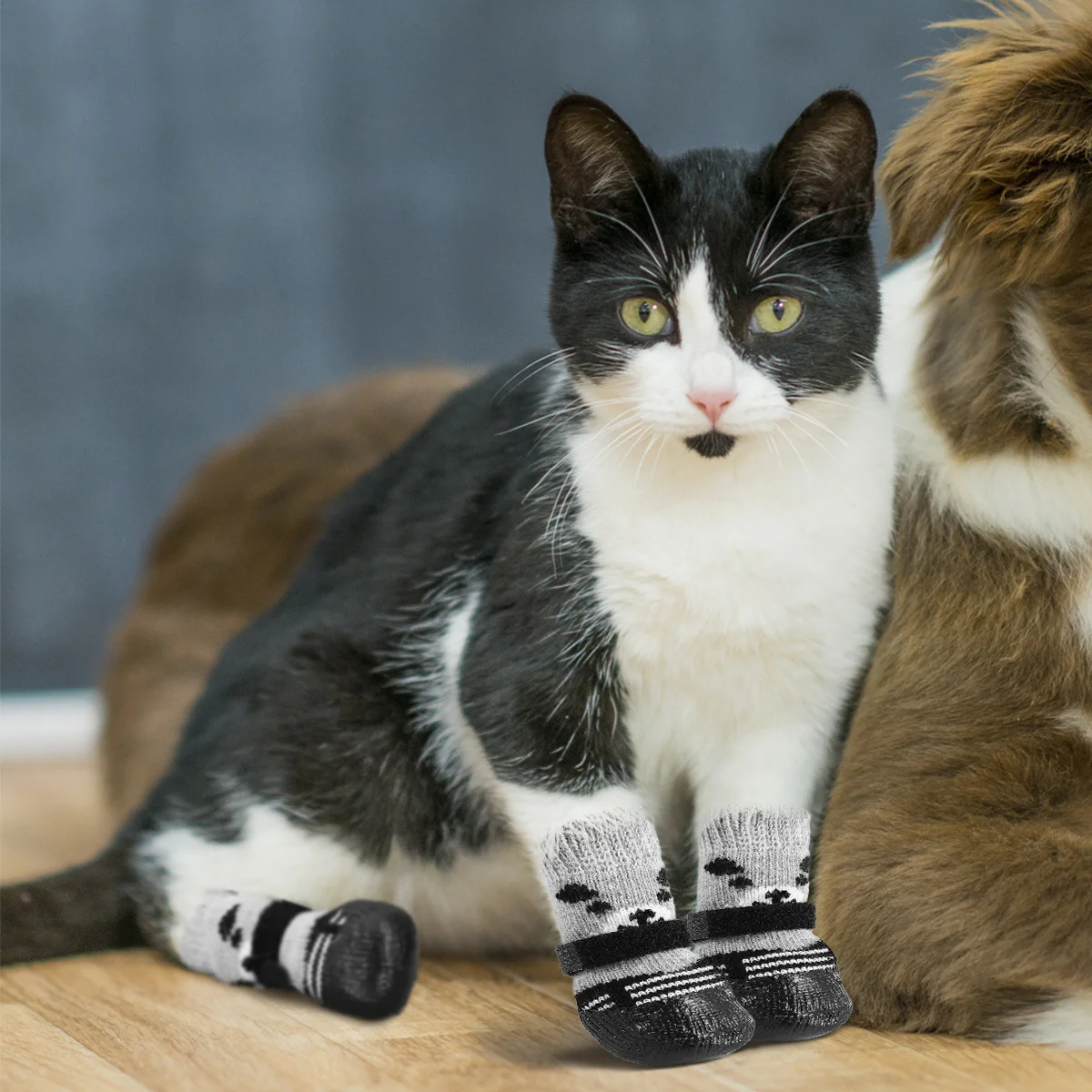 4 قطعة الحيوانات الأليفة عدم الانزلاق جوارب قطنية الكرتون طباعة أسود حجم م داخلي في الهواء الطلق المضادة للانزلاق باو حماية جوارب للحيوانات الأليفة الكلب القط