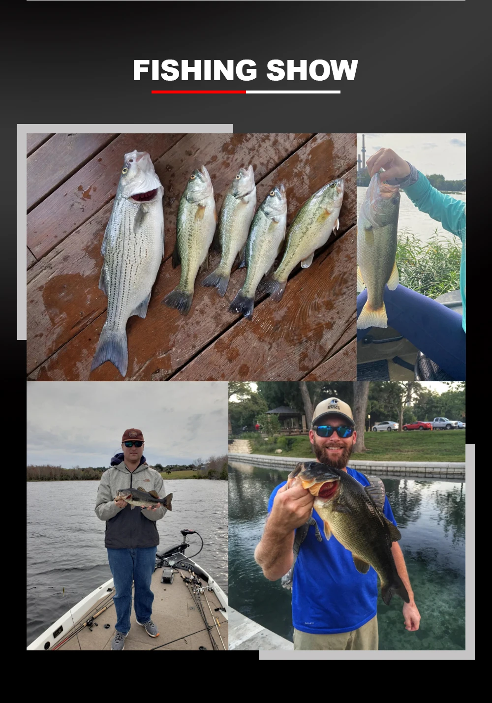 Spinpoler 2" 3" 4" weiche Angelköder Jerk Minnow Shad Drop Shot Soft Bait Swimbait Split Tail für Bass Forelle Pike Walleye Pesca – Detail 7