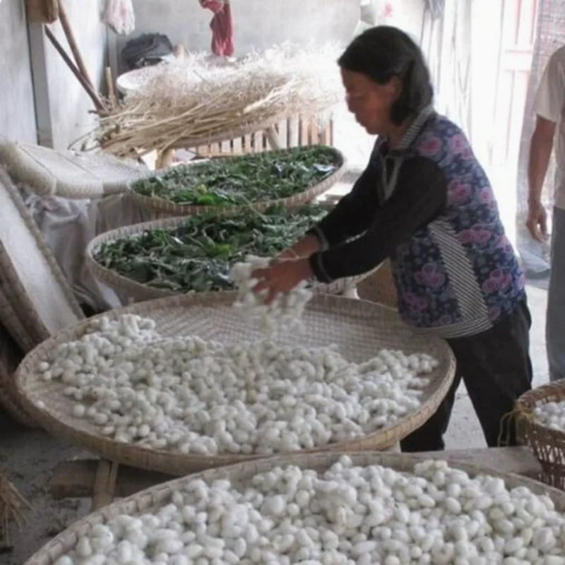 Éventail de danse de grande taille 100% soie véritable, voile pliant en bambou dégradé de 86cm, peinture à la main, danse du ventre folklorique chinoise, accessoires de spectacle de danseuse carrée