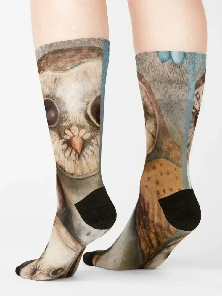 three wise owls Socks cotton anti-slip sports stockings Stockings man Men's Socks Women's