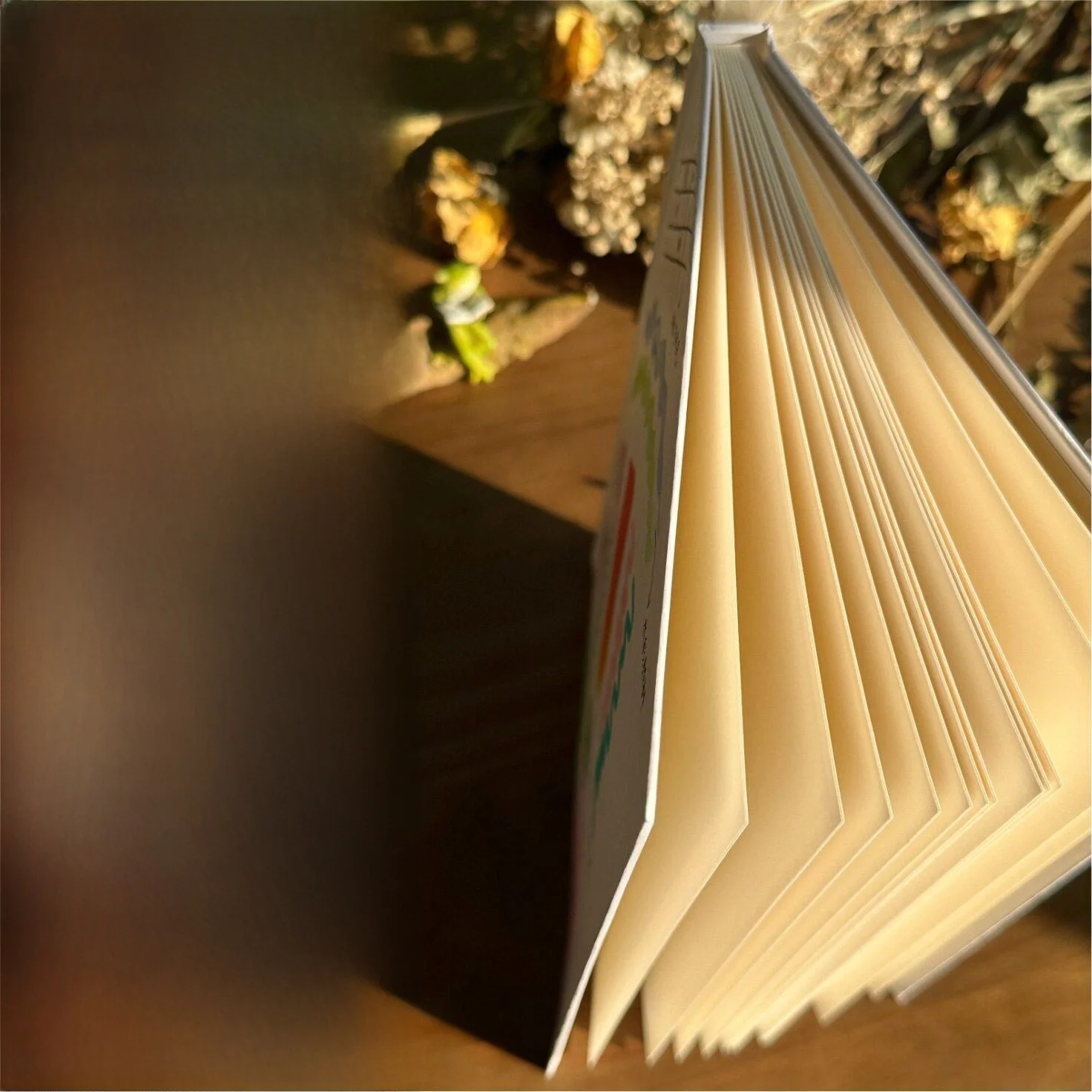 Hand Drawn Hard Cover Accordion Page Notebook Creative Photo Album Blank Pages Durable Leather Paper Sketchbook Journal