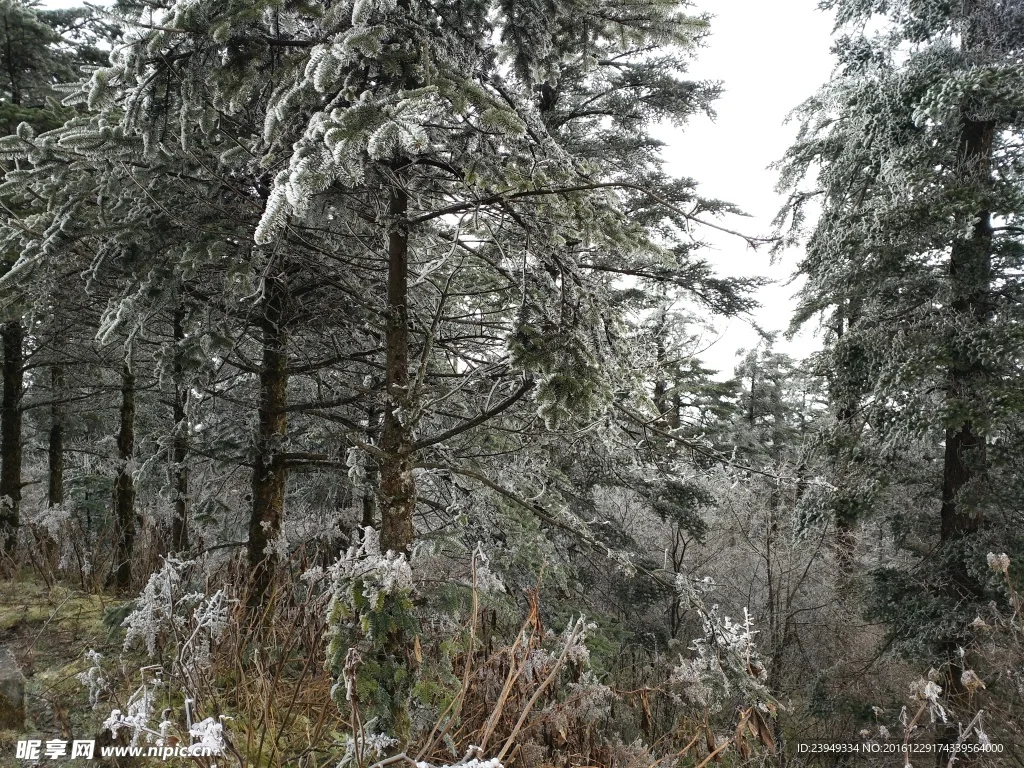 4Pcs 104Mm Diameter… - image