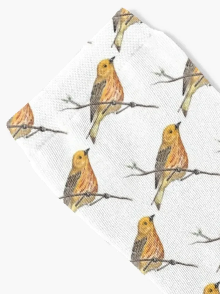 Yellow Warbler Socks Run Men's Men Socks Luxury Brand Women's