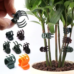30/50/100pcs 5/6-Claw Plastic Plant Clips Orchid Flowers Support Clamp Climbing Vine Stem Clasp Tied Bundle Branch Garden Tool
