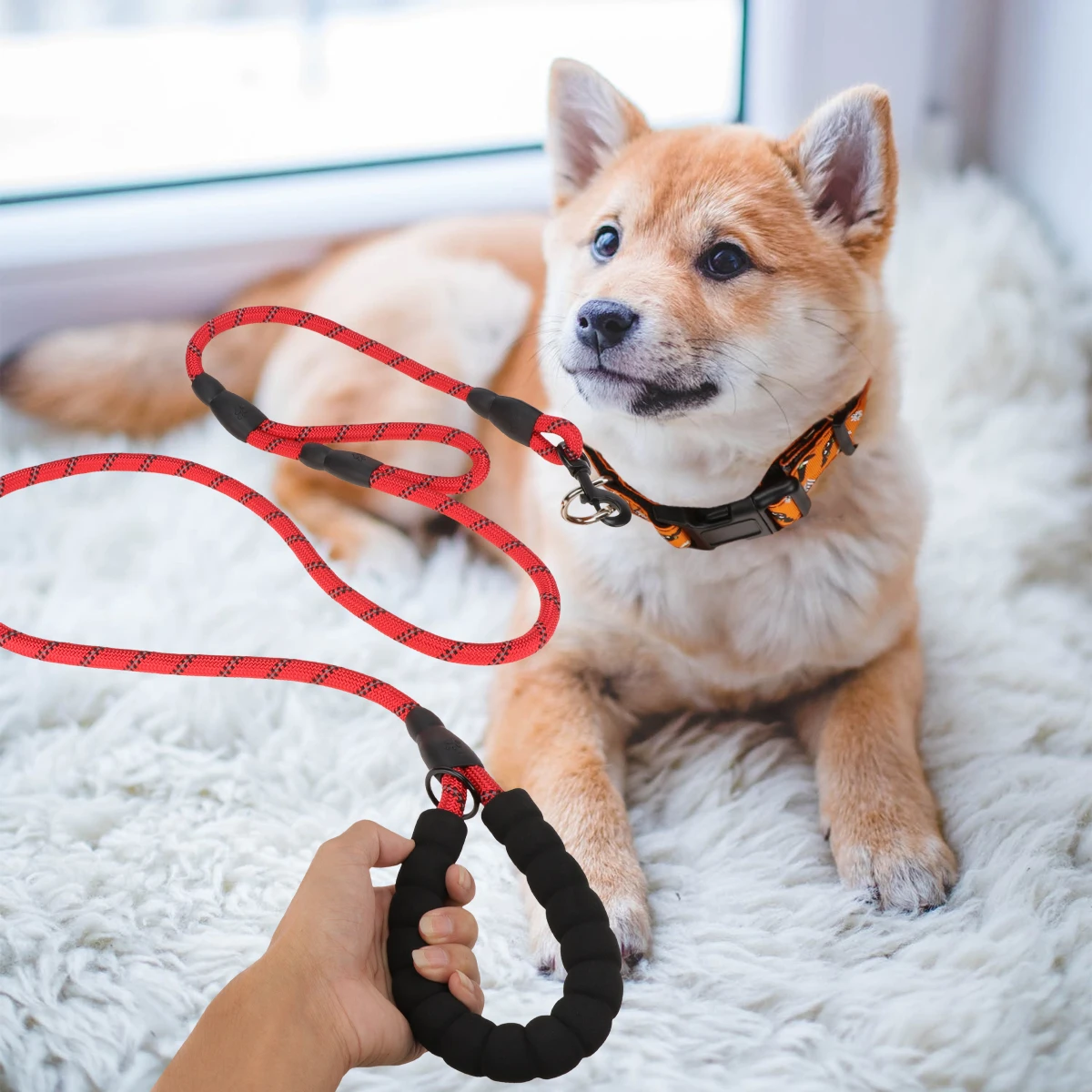 

Reflective Pulling Training Trailer Supply Belt Traction Traction Strap Pet Supply Pet Tow Rope Tow Rope