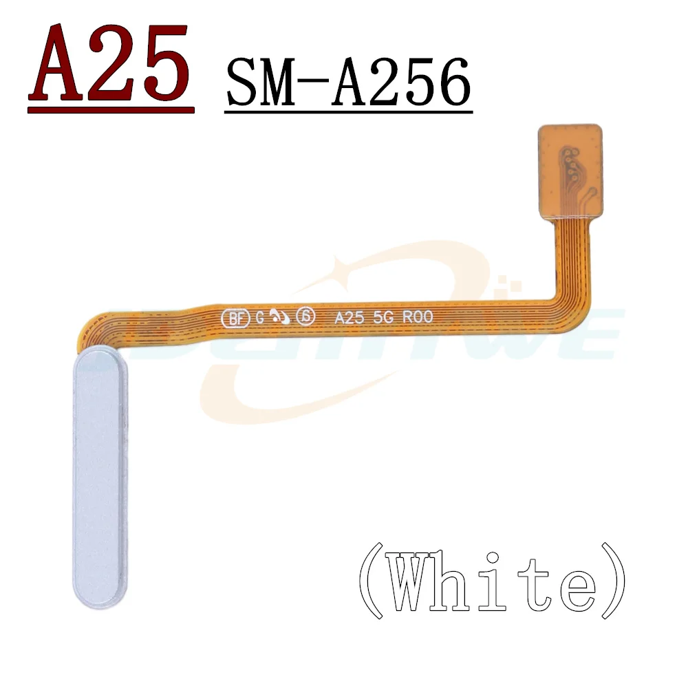 Fingerprint Sensor Scanner Flex Cable For Samsung Galaxy A25 A35 A55 5G Touch ID Connect Home Button Flex Cable Parts