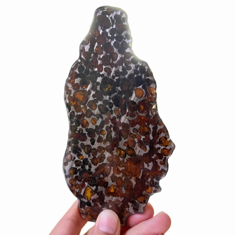 Natural Sericho Pallasite Meteorite Slice Polished Kenyan Olive Meteorite Specimen for Collection QA862