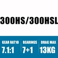 300HS