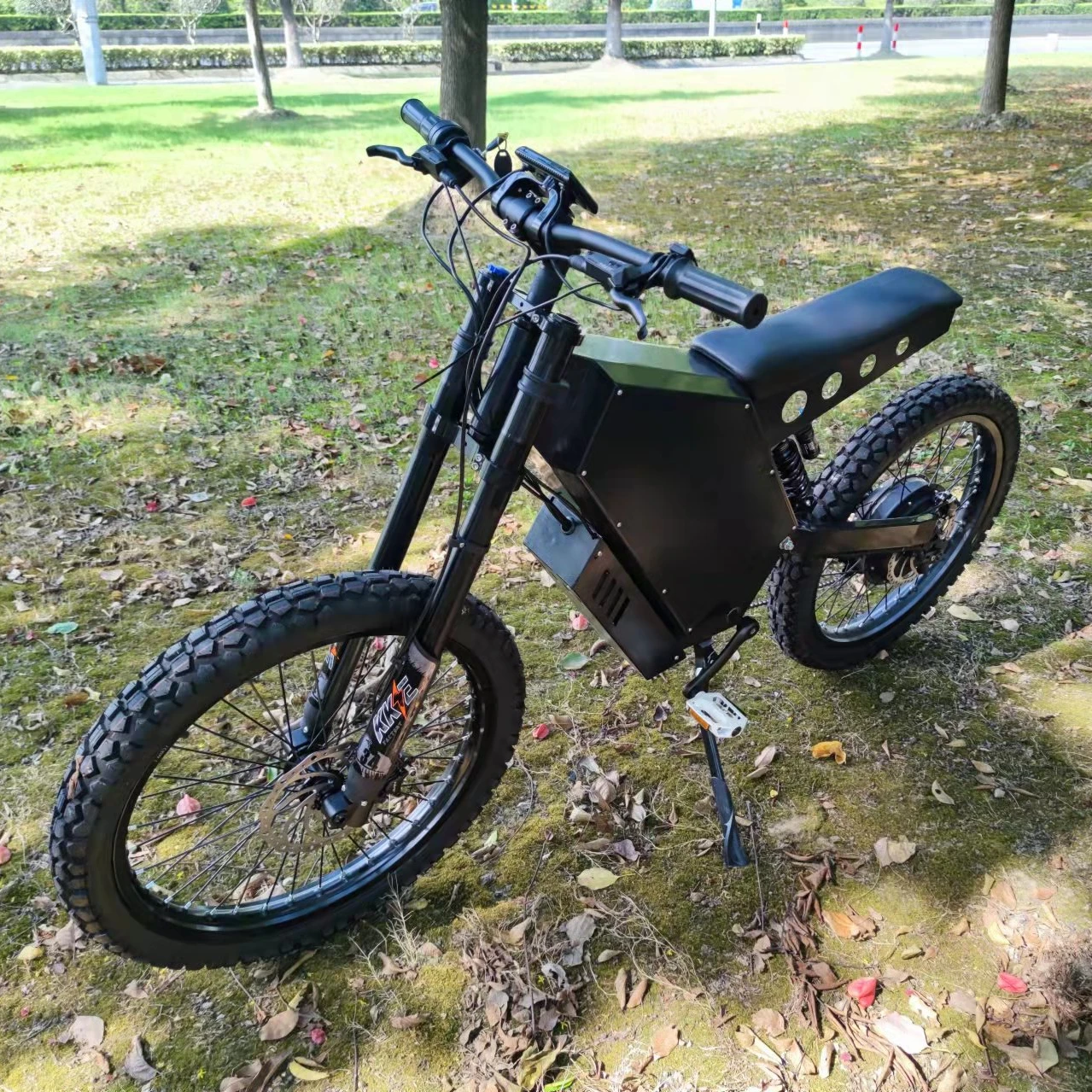 SS30 E-Bike: A Comprehensive Review and Guide for Power and Performance