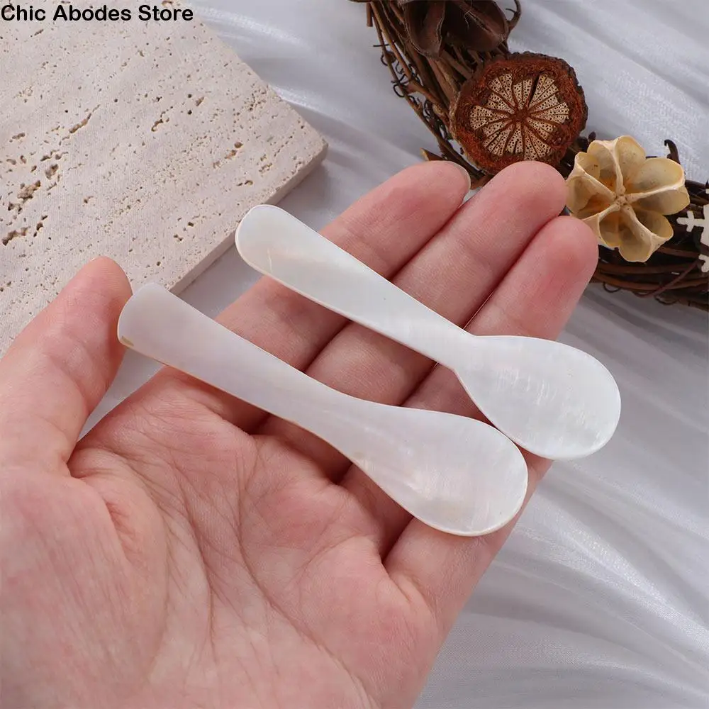 

Kitchen Natural Conch Caviar Spoons Teaspoon Coffee Scoop Stirring Tool