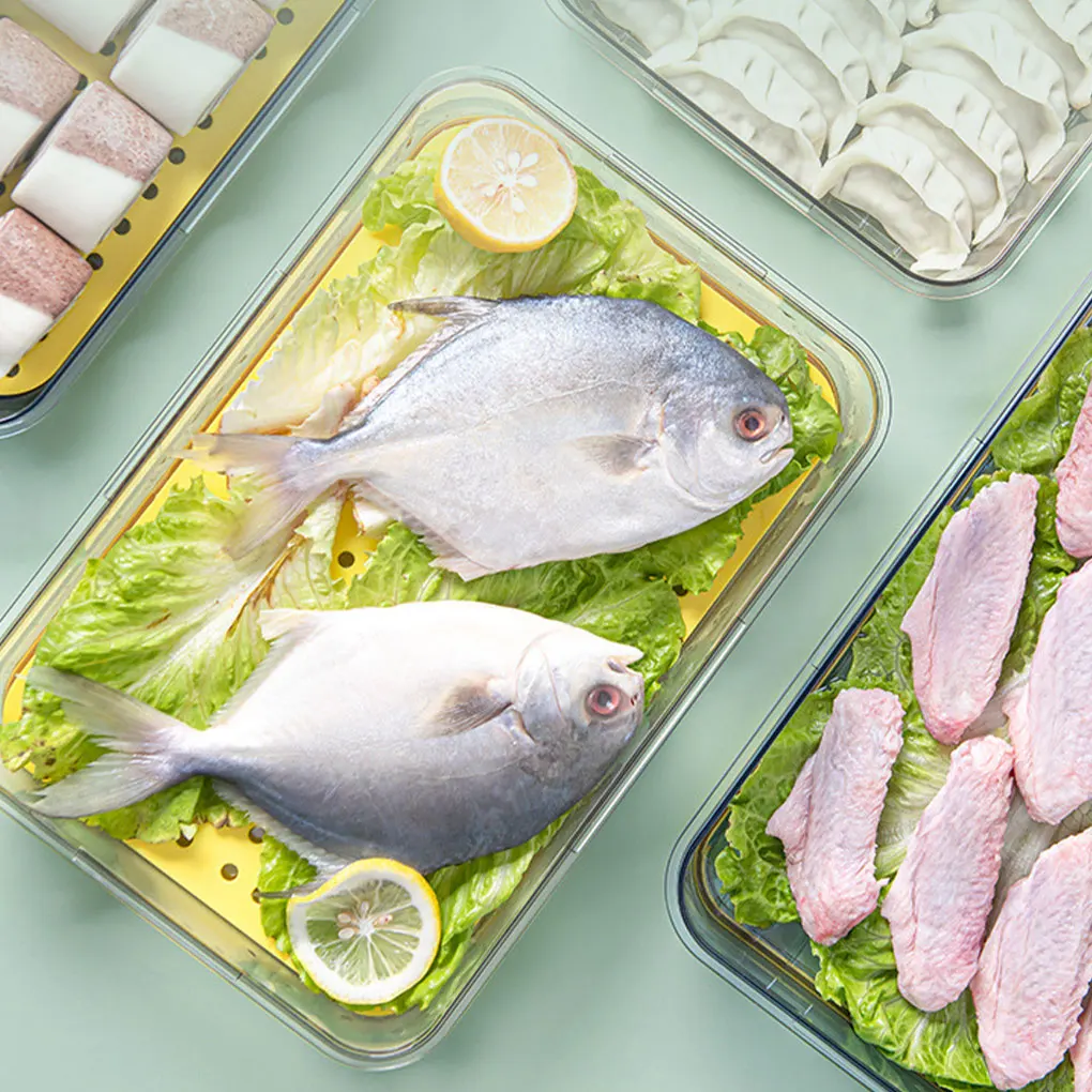 PET 다목적 과일 식품 계란 보관 상자 안전 빵 홀더 상자 빵 상자 편리한 보관 회색