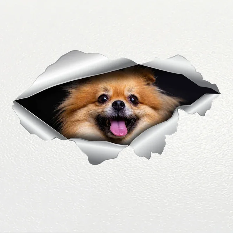 

One Piece Car Sticker Pomeranian Dog Pet Waterproof Vinyl Decal Accessories Decor Pegatinas Para Coche Watertight Christmas Gift