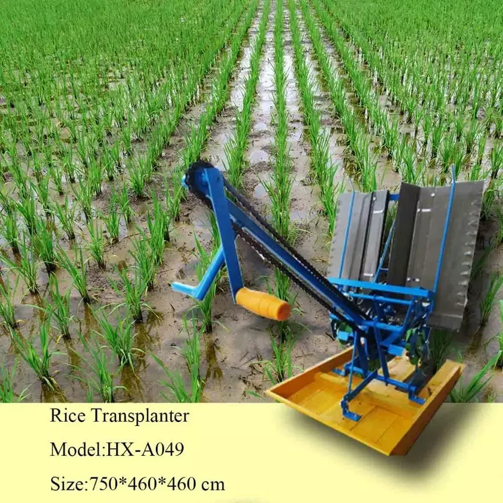 Hand Operated Paddy Transplanter/paddy planter/rice planting machine for sale