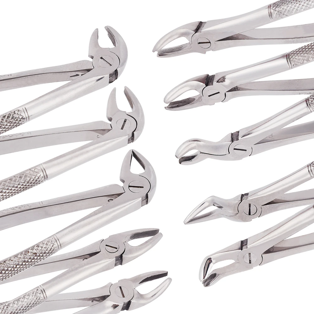 Den tal Stainless Steel Instrument Extraction Tooth Forceps Set 10 PCS Set  for Adult The basis of surgical instruments