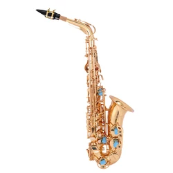 Starway Carving Eb Key Brass Alto Saxophone Music Instrument For Student And Professional Performer