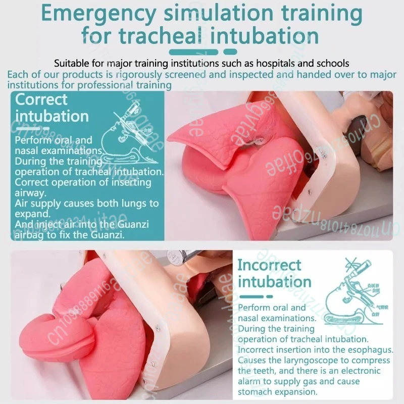 نموذج التنبيب الرغامي لحديثي الولادة/الرضع التناظرية مزدوجة الرئة والفم والأنف مجرى الهواء الرغامي محاكاة التدريس
