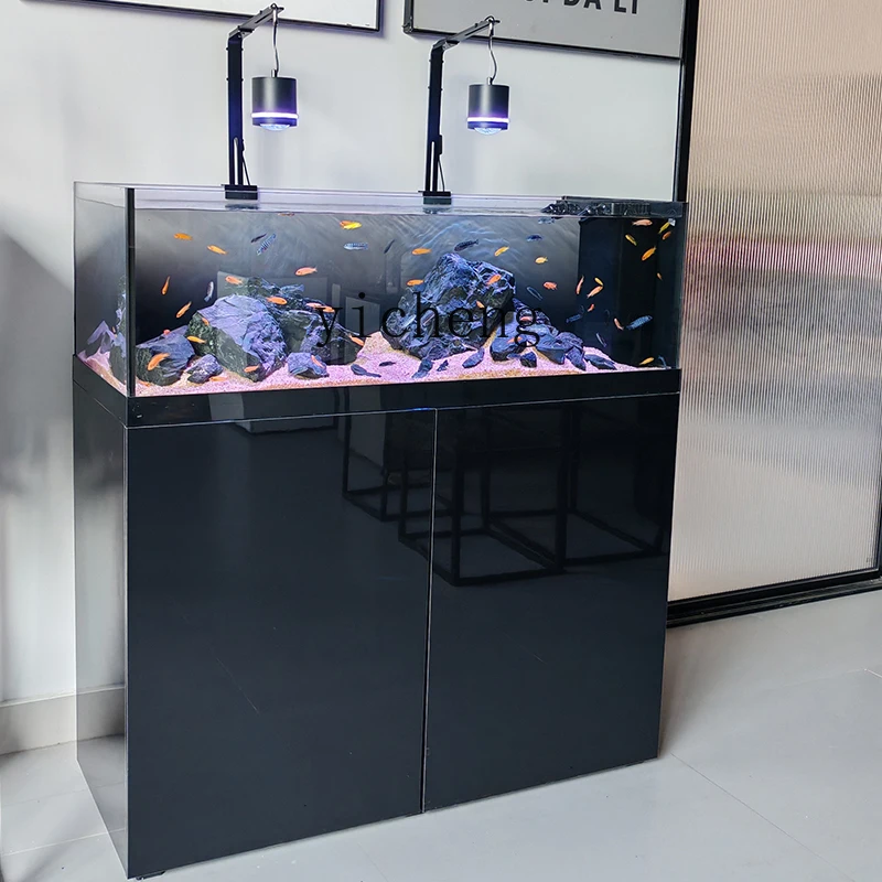 U1  native wild stream tank Sanhu cichlid fish tank living room ultra white bottom filter aquarium