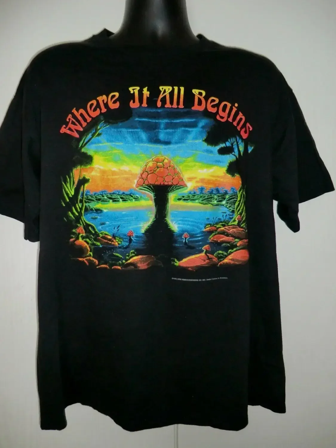 Vintage 1994 Allman_Brothers Band Tour T-Shirt Reprint V328