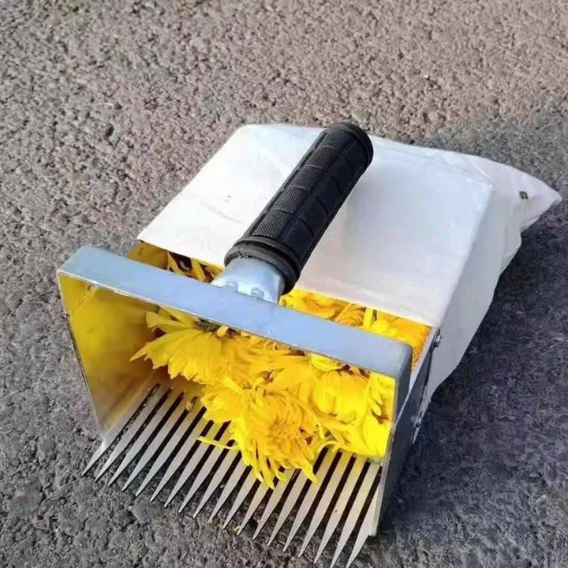 Wild Chrysanthemum Manual Picker Efficient Stem Cut Design Fast Delivery