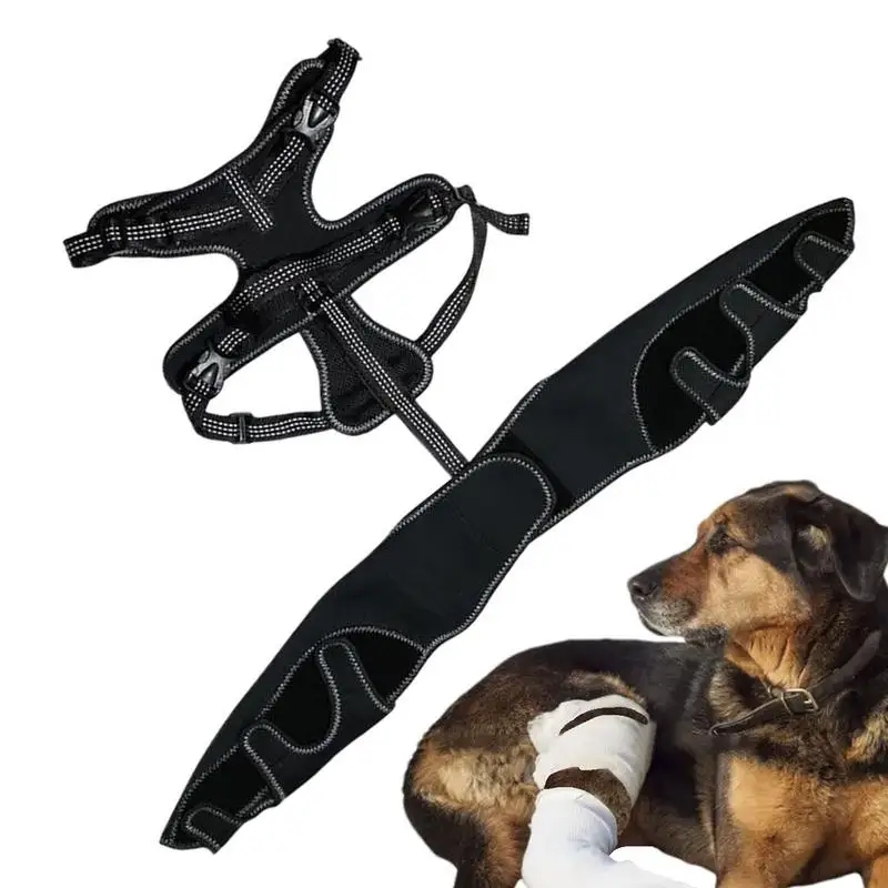 

Dog Knee Brace Pet Orthopedic Joint Support Brace Adjustable Leg Support For Keeping Animal Joints Warm And Stable