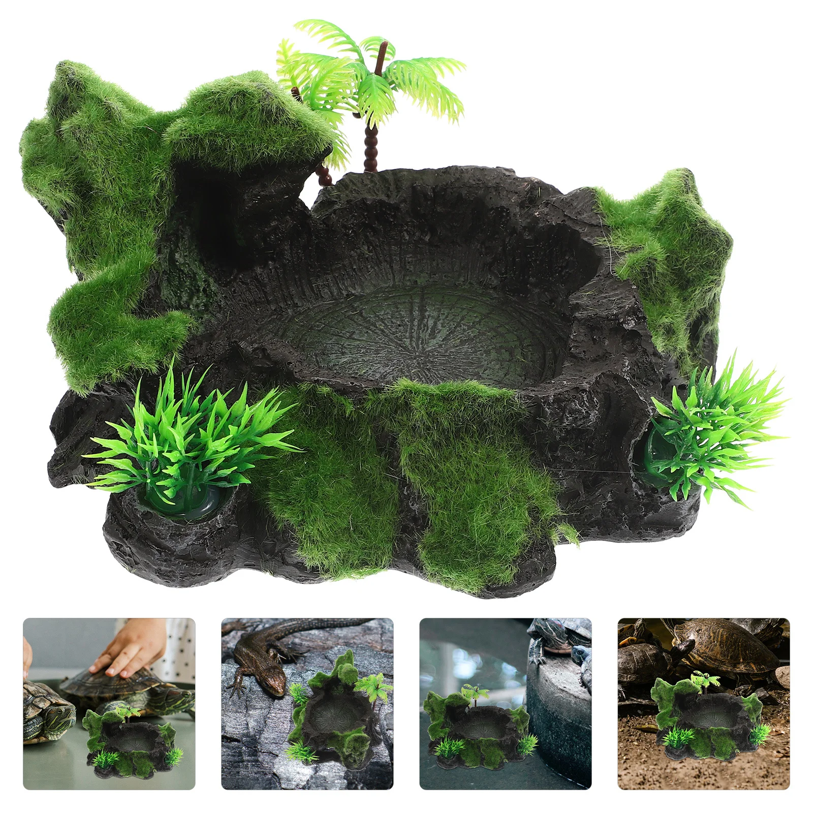 

Reptile Feeding Bowl Resin Wear-Resistant Natural Water Dish Non-Slip Stable Snack Food Bowl Reptile Wear-Resistant Water Dish