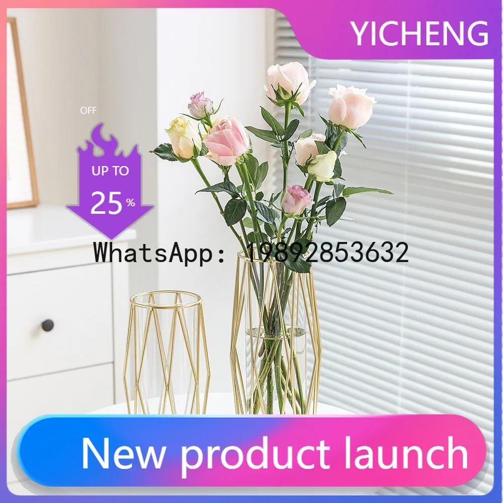 

Geometric iron art glass vase - hydroponic flower arrangement, party decor, minimalist style ornament