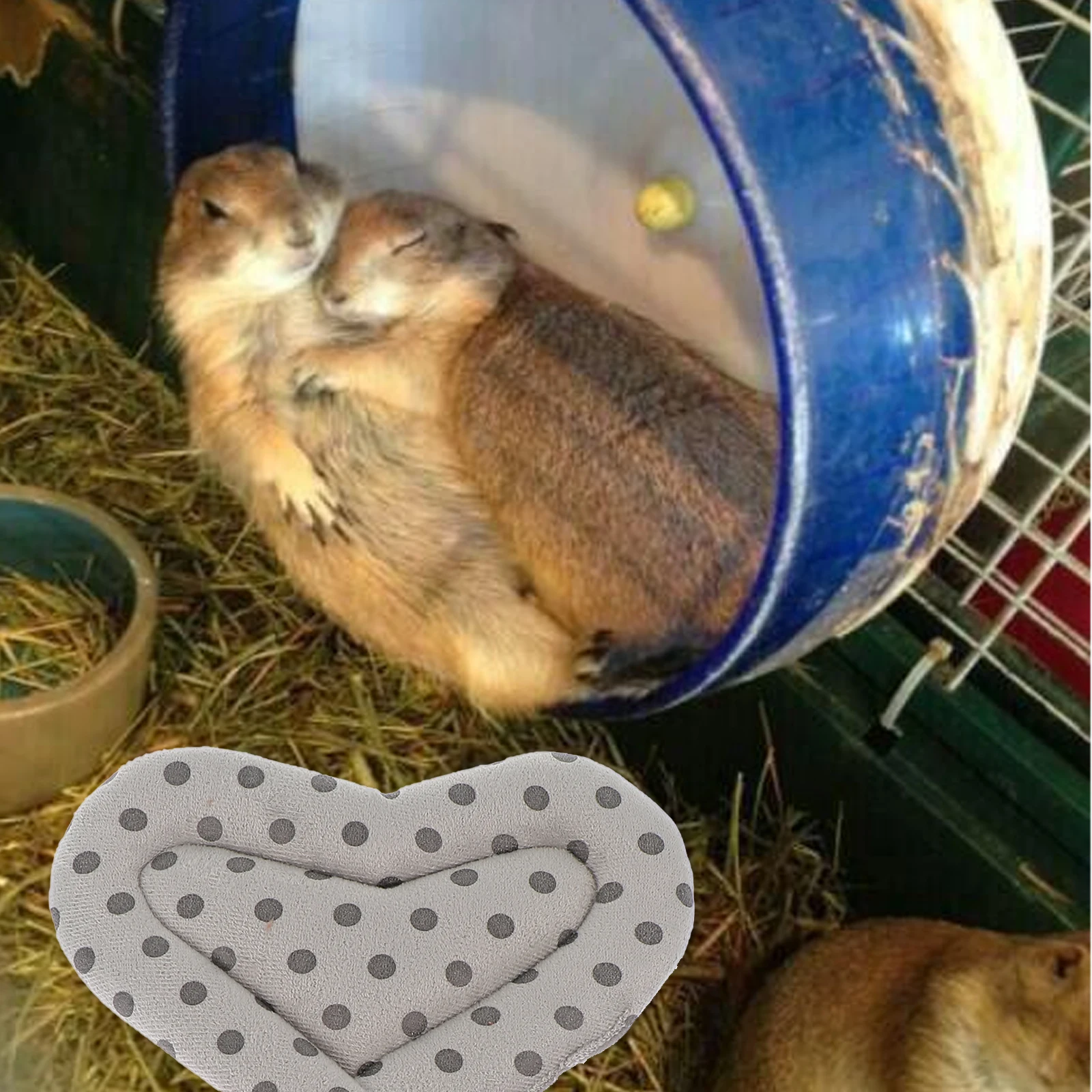 

2Pcs Hamster Nest Cushion Warm Winter Sleeping Pad Comfortable Small Pet Bed Mat for Hedgehog Squirrel Mouse Pet Warm Pad