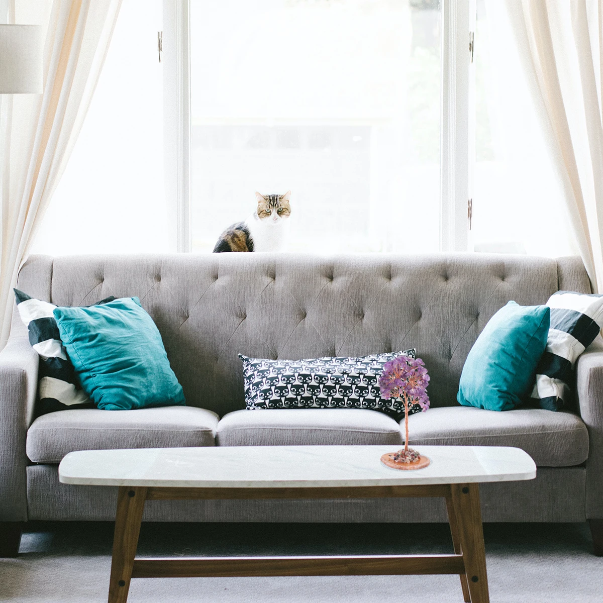 

Delicate Purple Crystal Money Tree Bonsai Style Ornament Natural White Crystal Feng Shui Wealth Prosperity Home Office Decor