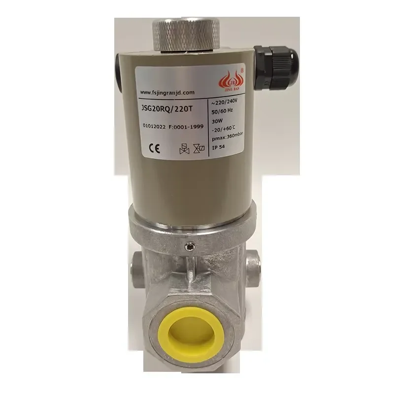 Industrial LPG/Natural Solenoid Valve Cut-off Normally Open Automatic Emergency Shut-off Control OEM IP54 Protection