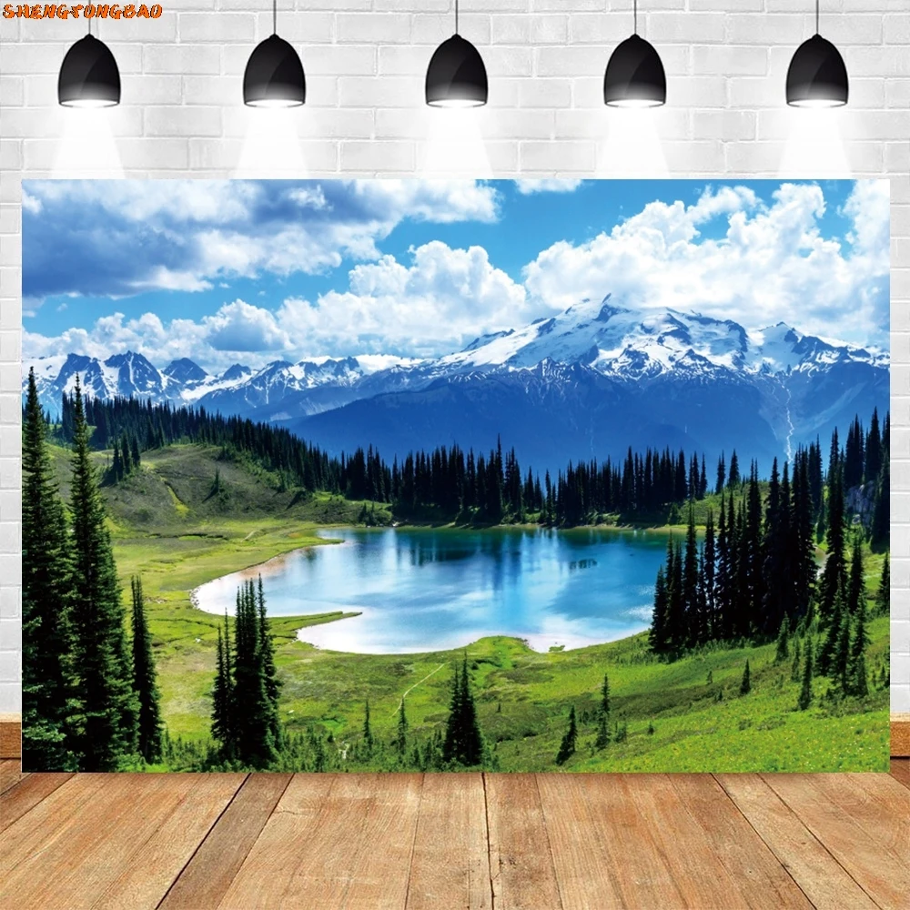 خلفية تصوير ربيعية، عشب الغابة الخضراء، السماء الزرقاء، المناظر الطبيعية الجبلية، ديكور العطلة، صورة خلفية الصورة