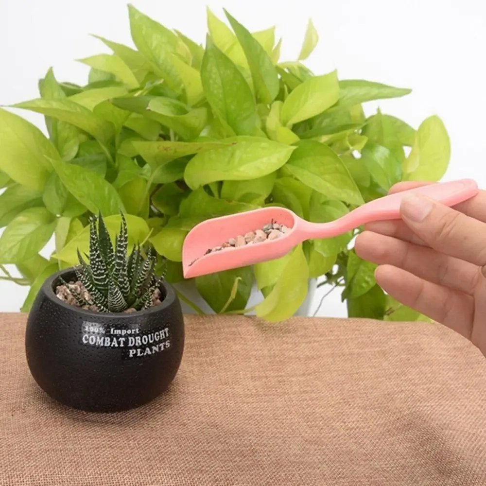 4Pcs 1Set Bonsai Planted Fertilizer Transplant Succulents Tool Planter Kit Garden Accessories owing Device