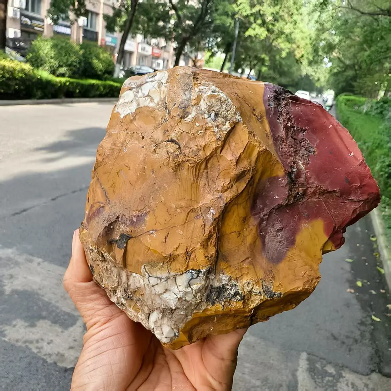 

Natural Red Jasper Dragon Head, Polished Quartz Crystal Red Ore Dragon Head, Mineral,Energy, Healing Dragon
