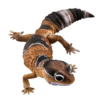 Japanese Genuine Gacha Scale Model Biological Cognitive Model Joint Mobility African Fat Tailed Gecko Action Figure Toys