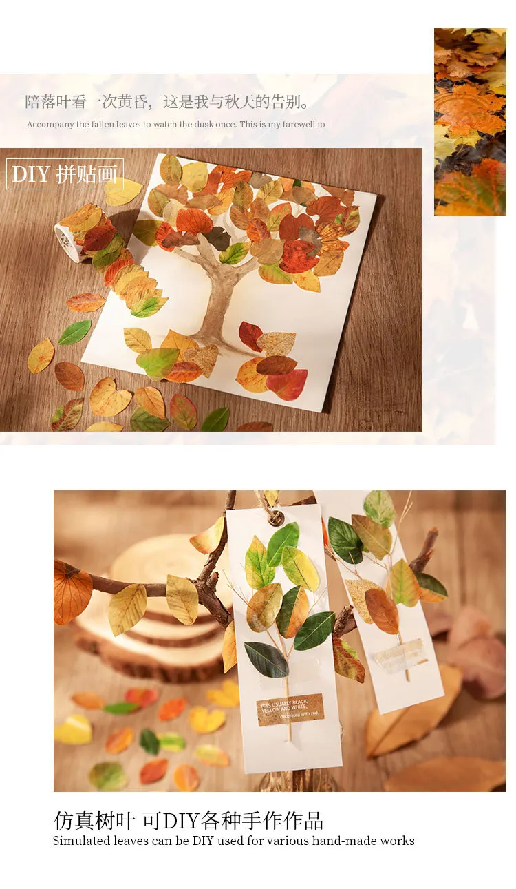 50 Stück gelbe Herbstblätter-Serie, kreative Pflanzenaufkleber für die Handkonto-Dekoration – Detail 3