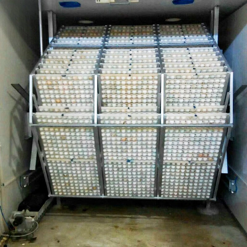Automatic incubator waterfowl machine