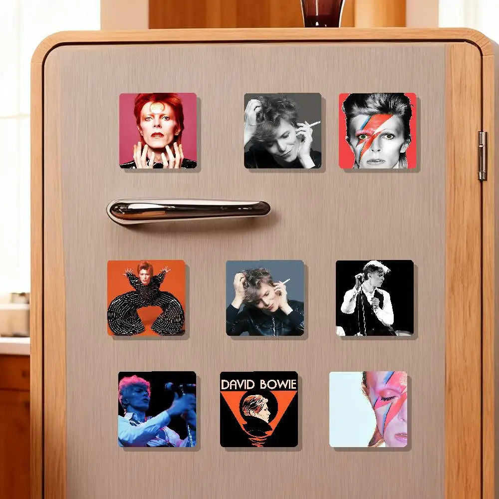 Singer D-David B-Bowie Refrigerator Magnets For Dishwasher/ Refrigerator/ Freezer, Whimsical Kitchen Decor