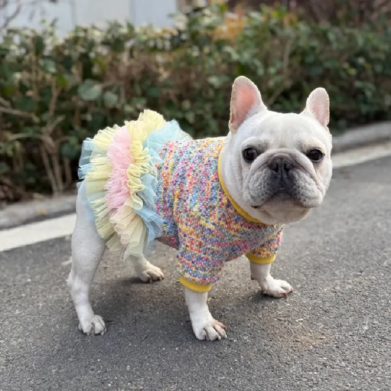 carlin-chien-robe-hiver-bouledogue-francais-vetements-caniche-bichon-frise-schnauzer-frenchies-chien-vetements-costumes-vetements-pour-animaux-de-compagnie-robes