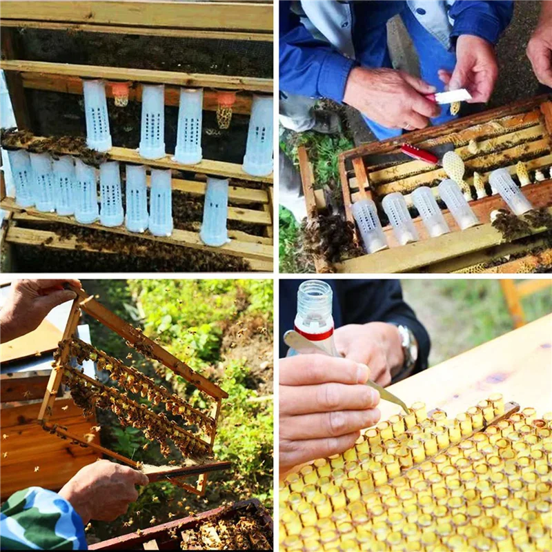 

【Ограниченное время предлагает】100 шт. Роликовая клетка для пчел Queen Bee - Пластиковый комплект чашек для пчеловодства Queen Bee Roller Cage Назад Держатель для чашки Beeke
