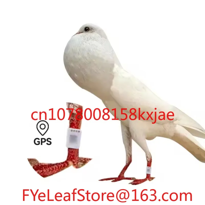 

Animal Leg Ring Tag Bird Location Device Chicken Ring Pigeon Chicken Tag