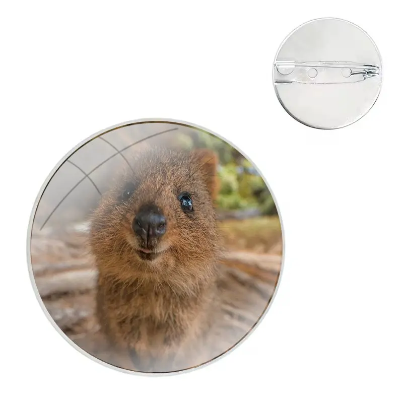 Glass Dome Brooches Shirt Lapel Bag Cute Badge Pins For Clothes Hat Accessories lovely Capybara animal Luxury