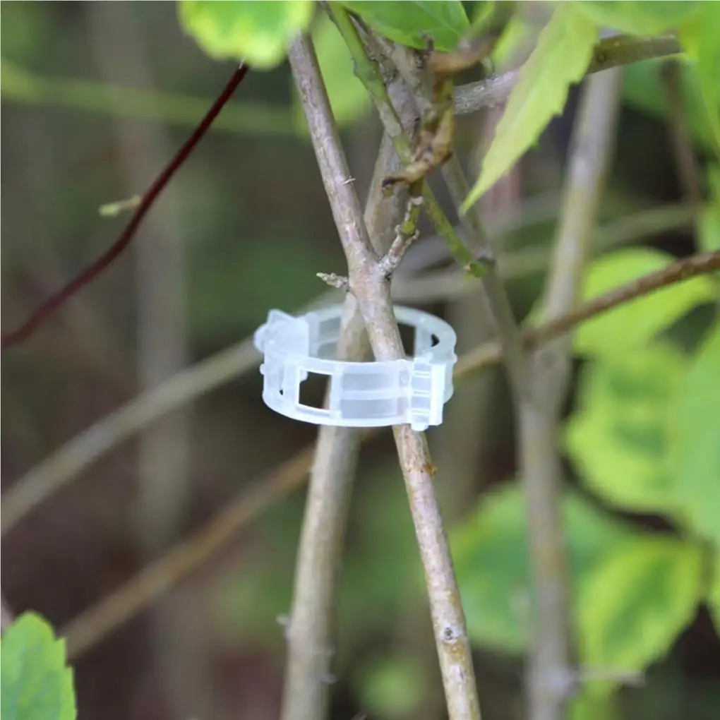 100pcs Plant Vines Fixed Clip Tied Buckle Lashing Hook Agricultural Greenhouse Vegetable Gadget Garden Plastic Fixed Buckle